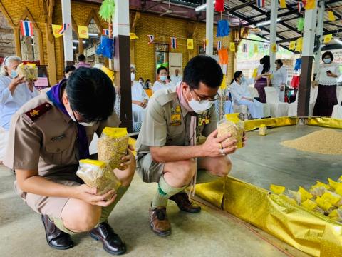 ร่วมงานประเพณีก่อพระทรายข้าวเปลือก ณ วัดทุ่งสะเดียง อ.เมือง จ.เพ